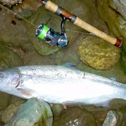 なんとか６０オーバーをキャッチ